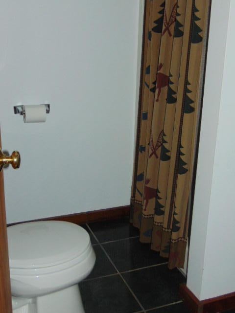 20364 Pinewood Road Newberry, MI 49868 - Photo 11 of 18 Gallery Image 11