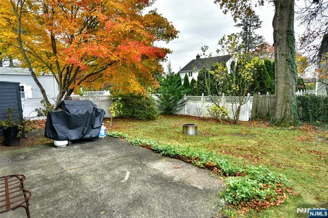 a view of backyard with tree