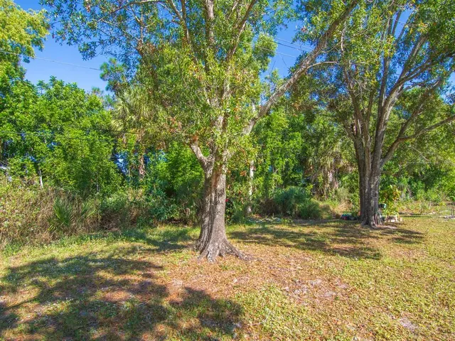 a view of a yard with a tree