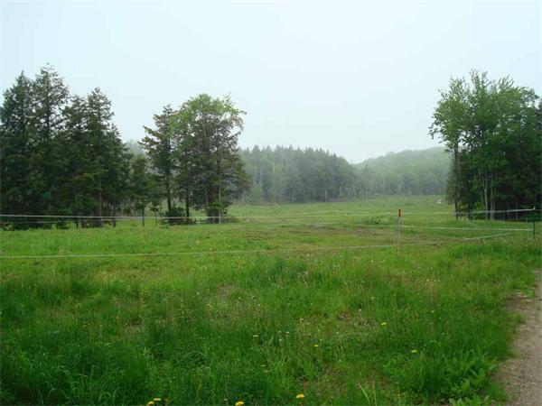 626 Old Post Road Worthington, MA 01098 - Photo 7 of 17