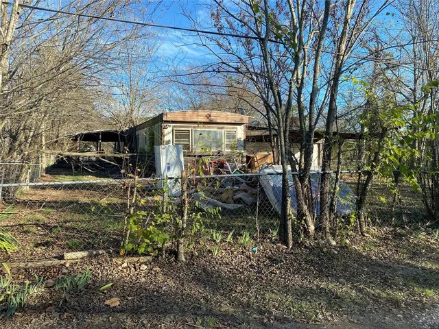 a view of a yard with plants and a large tree