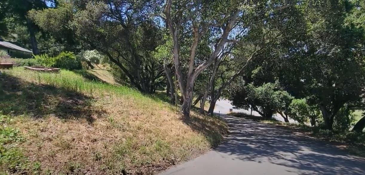 17752 Vierra Canyon Road Salinas, CA 93907 - Photo 21 of 31 a view of a forest with trees