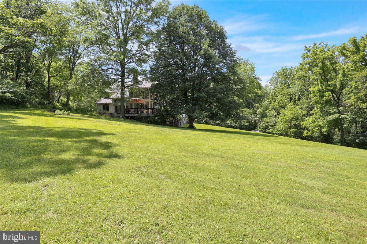 6 Sadowski Drive Reading, PA 19606 - Photo 55 of 66 a view of a large yard with large trees
