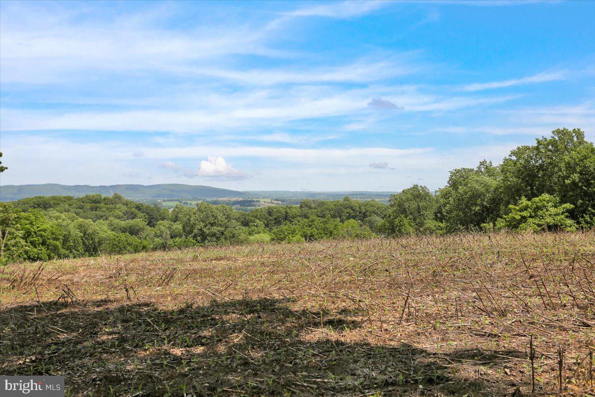 6 Sadowski Drive Reading, PA 19606 - Photo 56 of 66