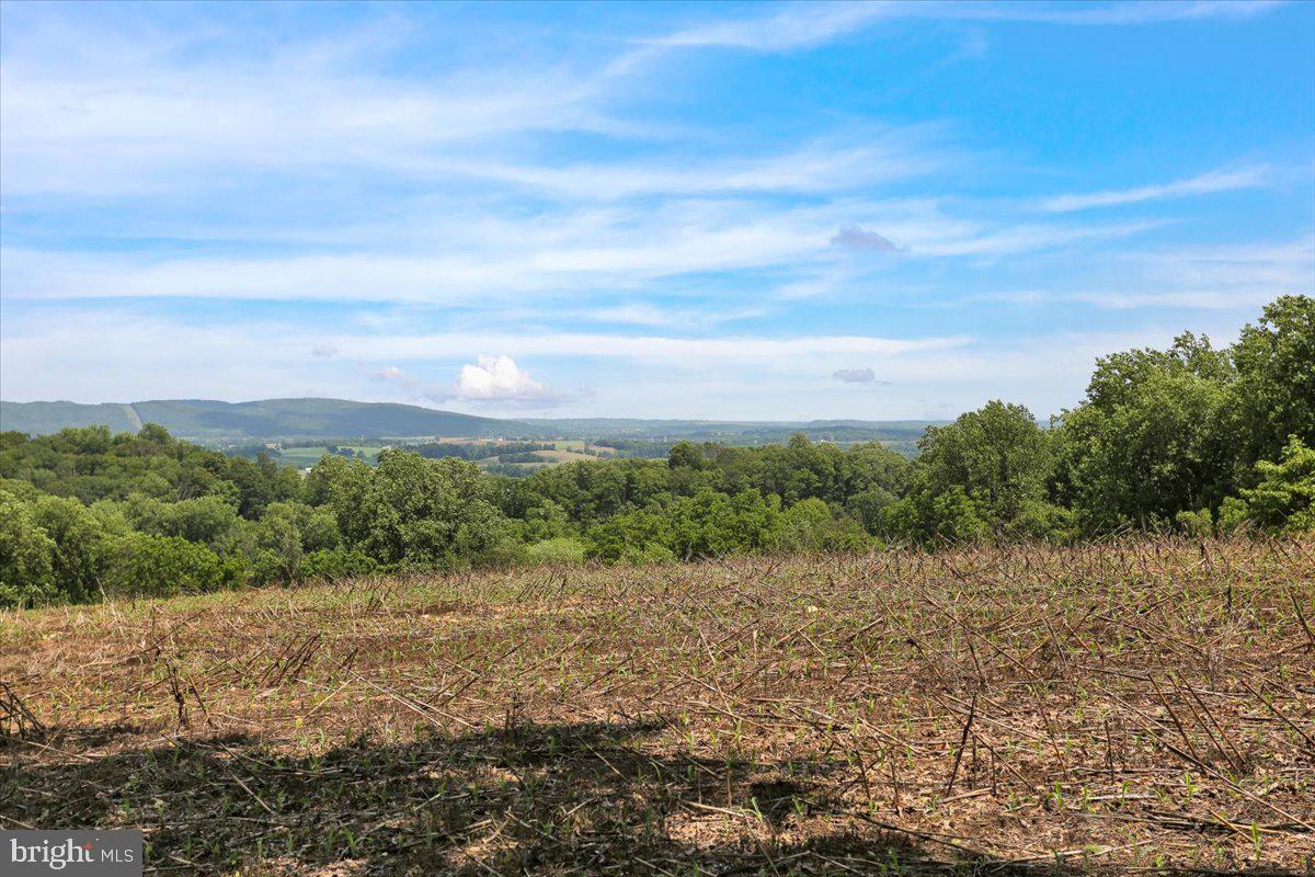 6 Sadowski Drive Reading, PA 19606 - Photo 57 of 66
