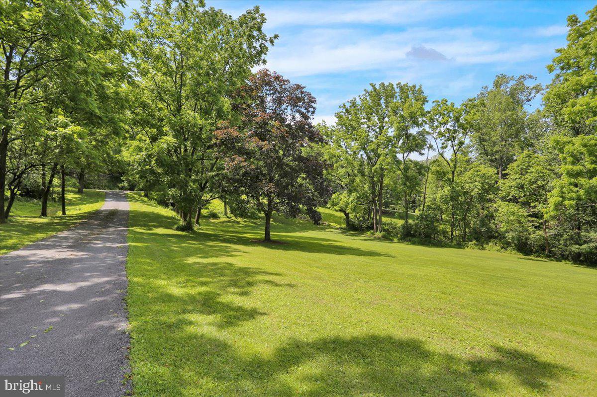 6 Sadowski Drive Reading, PA 19606 - Photo 66 of 66 a view of a trees with a big yard