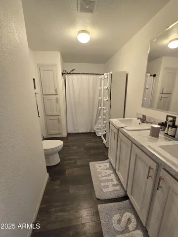 a bathroom with a sink a toilet a mirror and shower