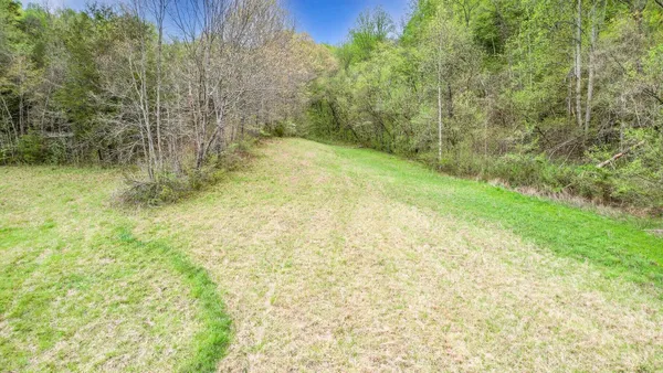 $359,900 | Tbd Sinking Creek Road, Parrottsville, TN 37843