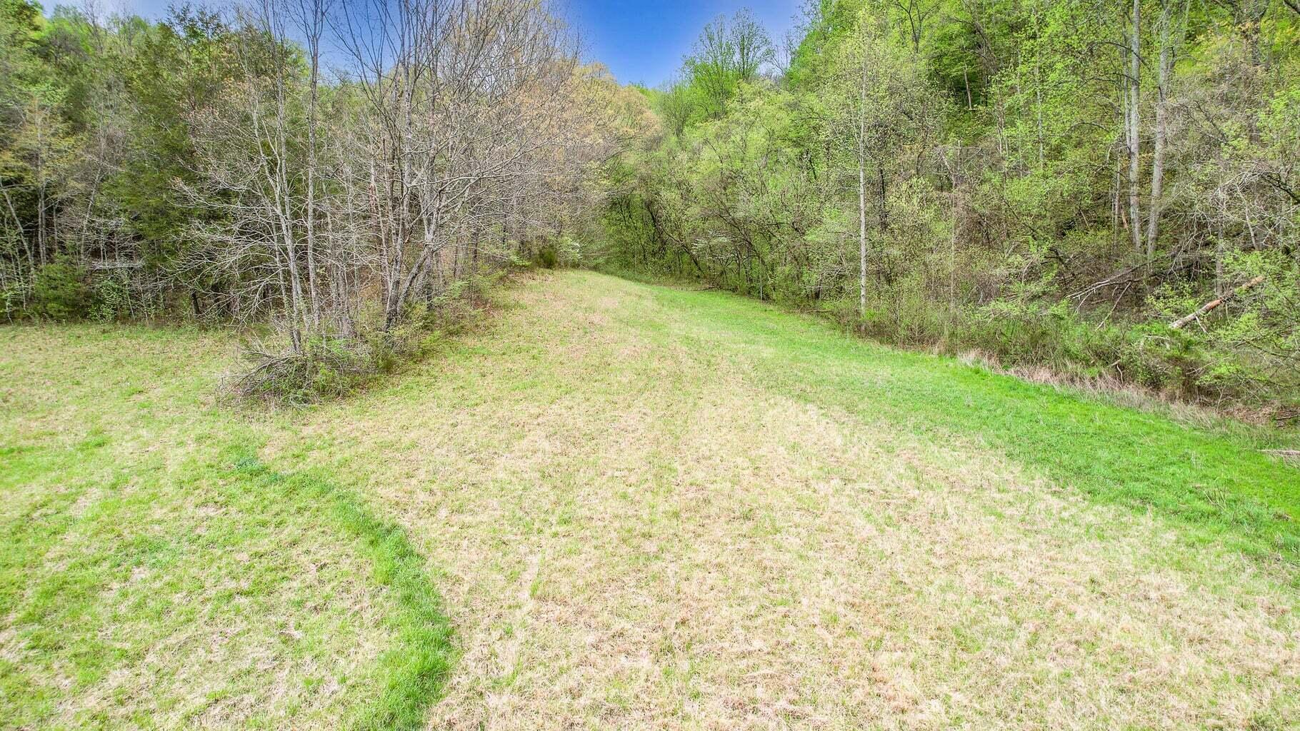 Tbd Sinking Creek Road Parrottsville, TN 37843 - Photo 11 of 32 Photo 18
