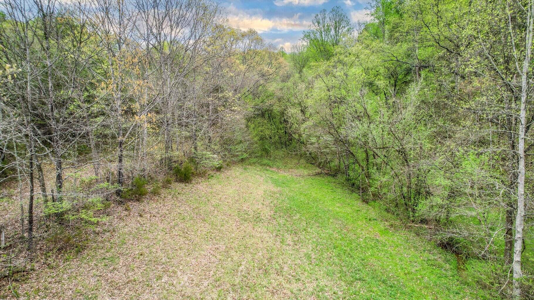 Tbd Sinking Creek Road Parrottsville, TN 37843 - Photo 12 of 32 Photo 20