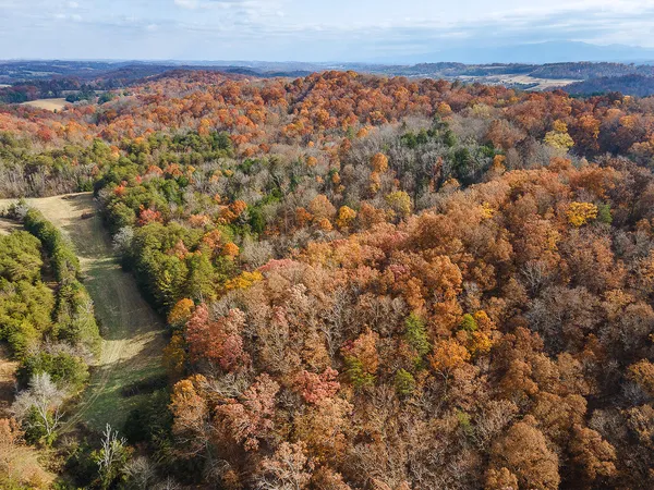 $359,900 | Tbd Sinking Creek Road, Parrottsville, TN 37843
