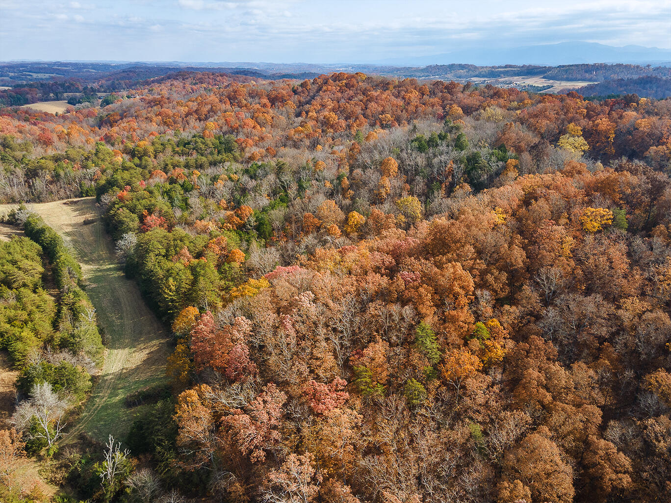 Tbd Sinking Creek Road Parrottsville, TN 37843 - Photo 15 of 32 2355-Sinking-Creek-D-Neas-Aerial-780