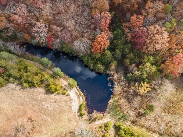 $359,900 | Tbd Sinking Creek Road, Parrottsville, TN 37843