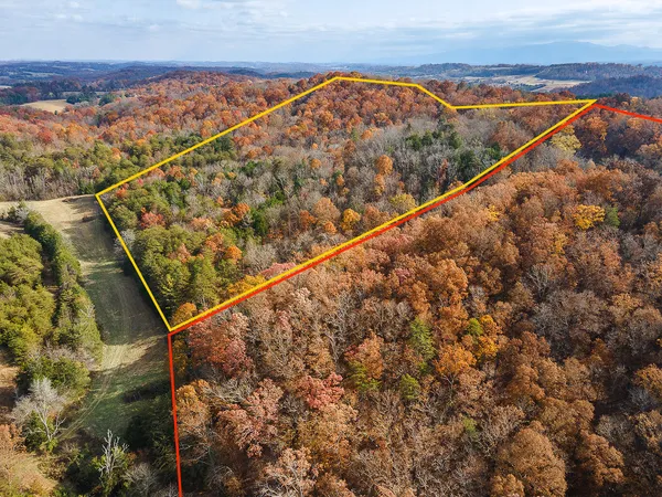 $359,900 | Tbd Sinking Creek Road, Parrottsville, TN 37843