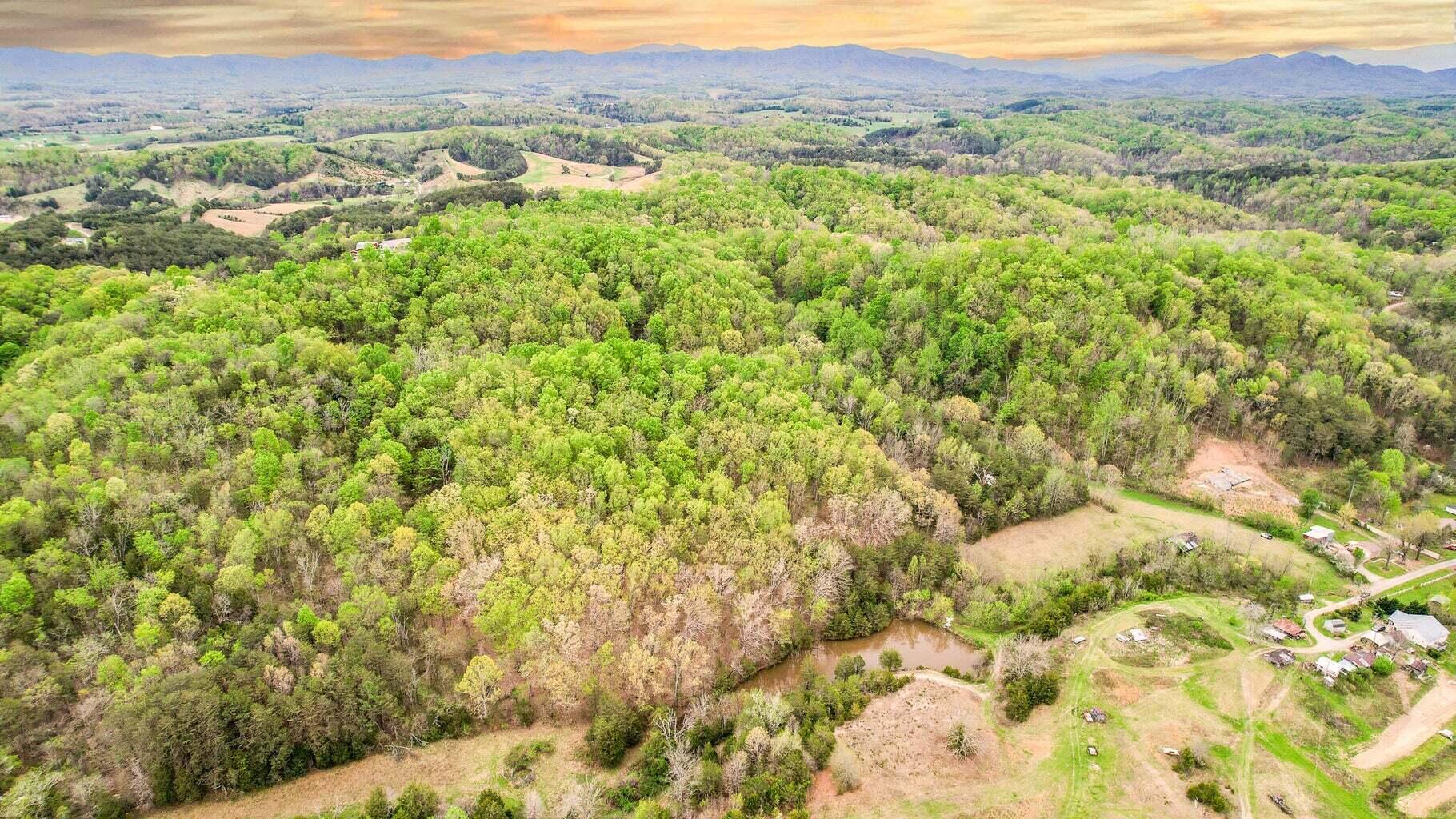 Tbd Sinking Creek Road Parrottsville, TN 37843 - Photo 20 of 32 Photo 13