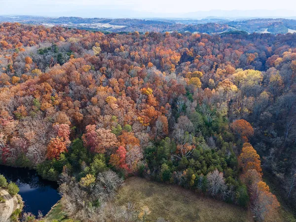 $359,900 | Tbd Sinking Creek Road, Parrottsville, TN 37843