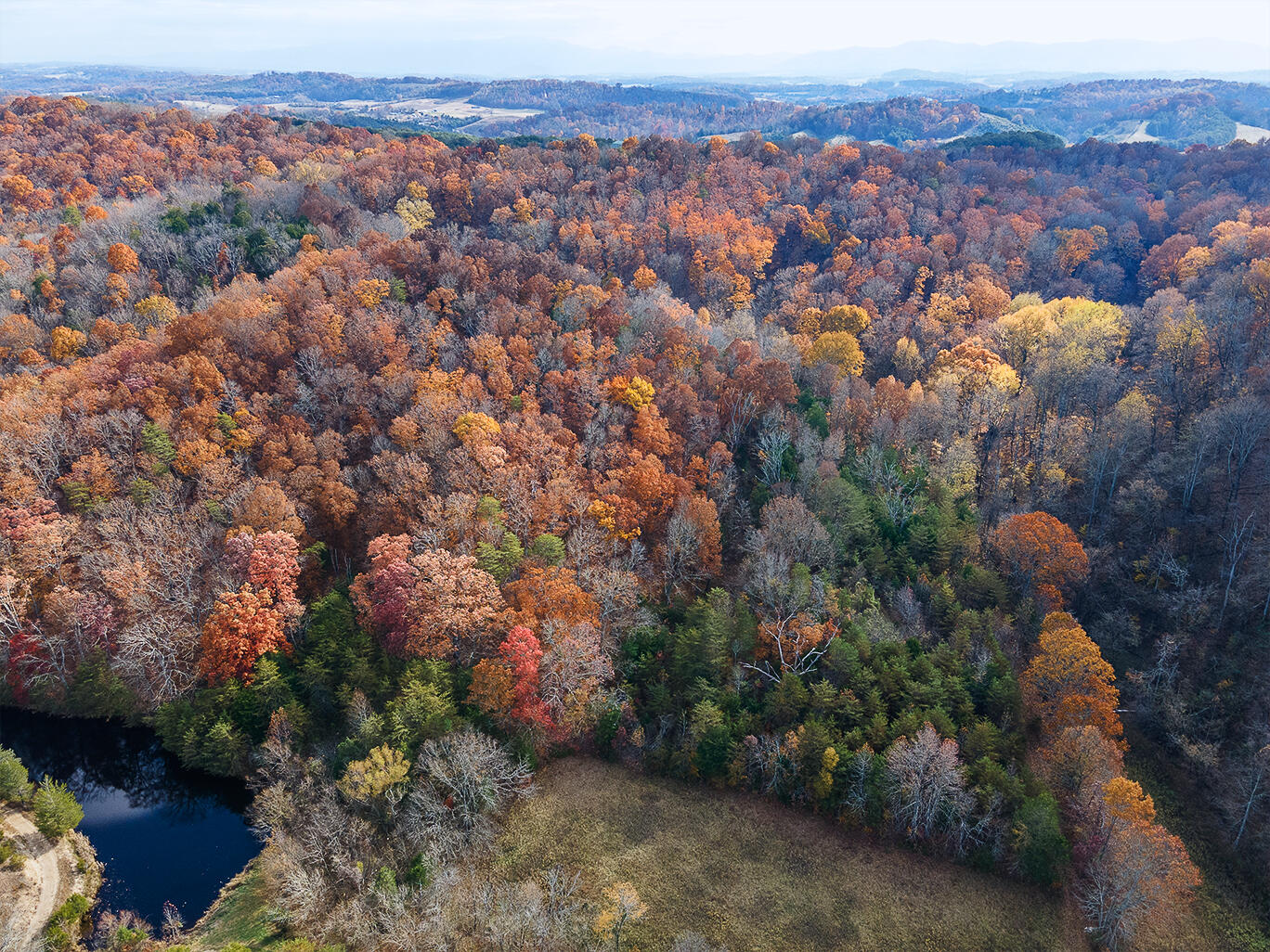 Tbd Sinking Creek Road Parrottsville, TN 37843 - Photo 28 of 32 2355-Sinking-Creek-D-Neas-Aerial-771