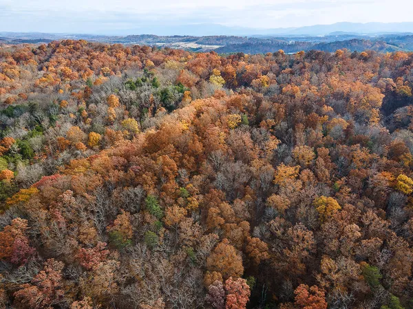 $359,900 | Tbd Sinking Creek Road, Parrottsville, TN 37843