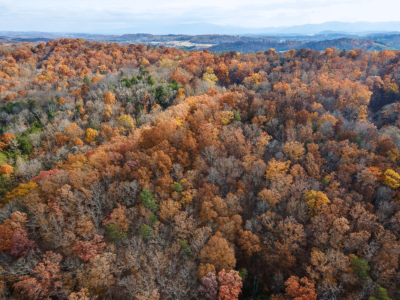Tbd Sinking Creek Road Parrottsville, TN 37843 - Photo 32 of 32 2355-Sinking-Creek-D-Neas-Aerial-787