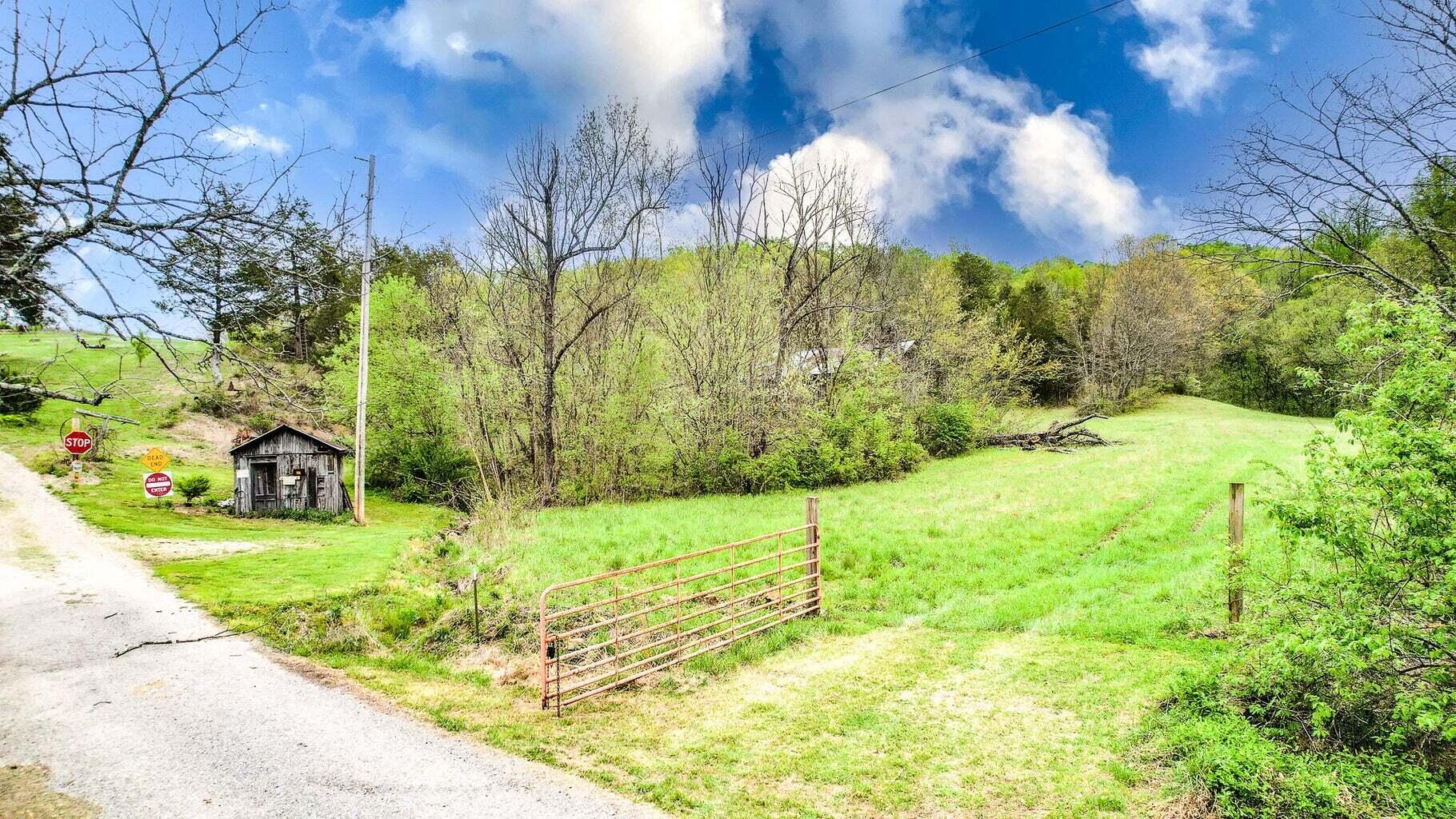 Tbd Sinking Creek Road Parrottsville, TN 37843 - Photo 5 of 32 Photo 4