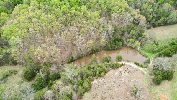 $359,900 | Tbd Sinking Creek Road, Parrottsville, TN 37843