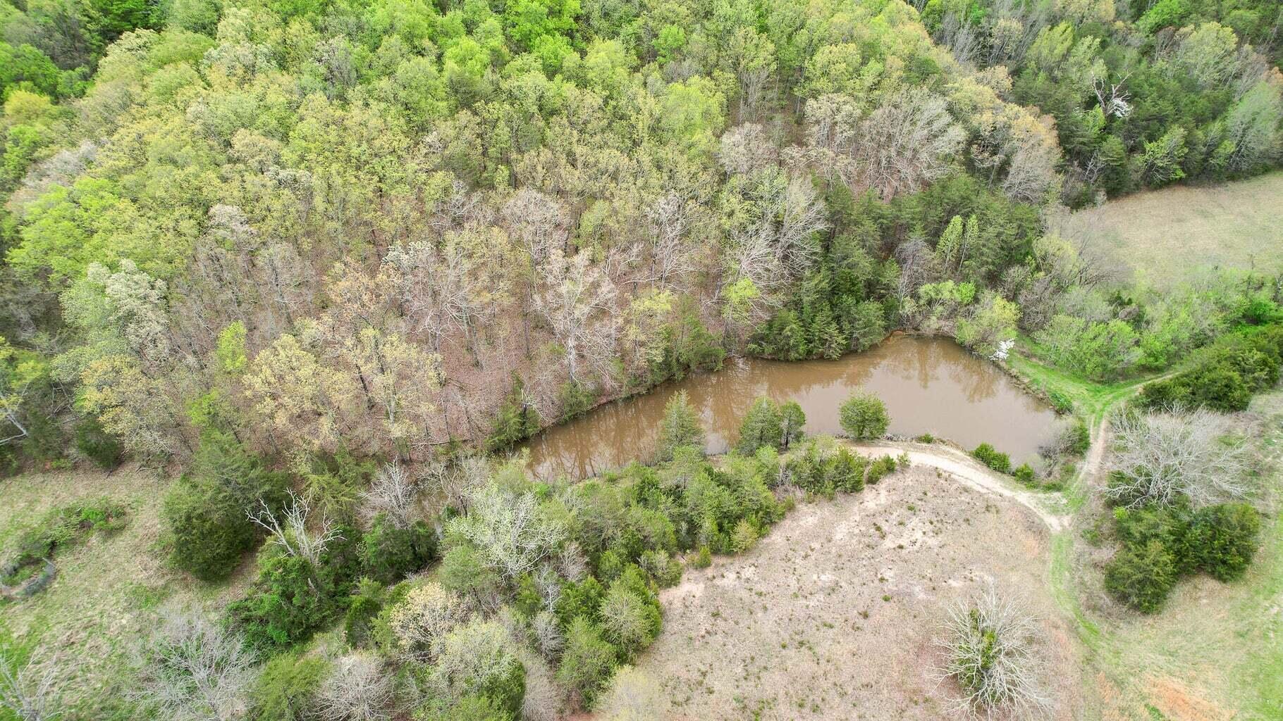 Tbd Sinking Creek Road Parrottsville, TN 37843 - Photo 7 of 32 Photo 8
