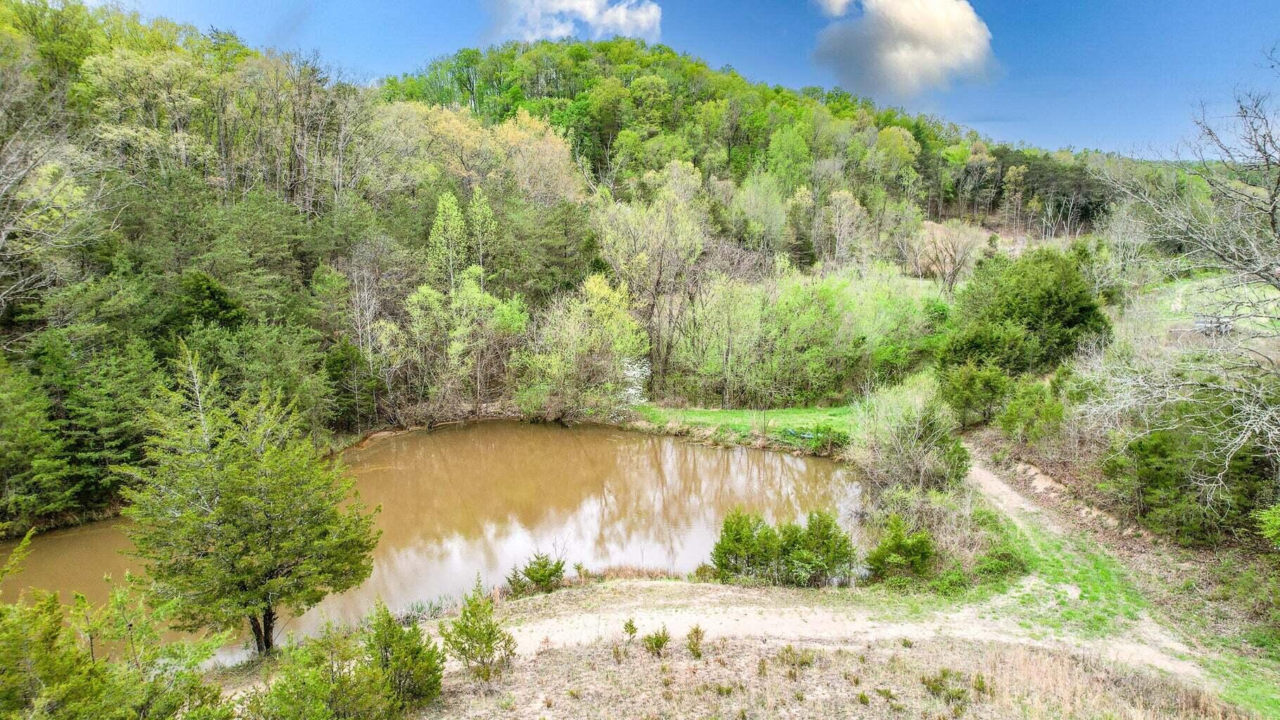 Tbd Sinking Creek Road Parrottsville, TN 37843 - Photo 8 of 32 Photo 9