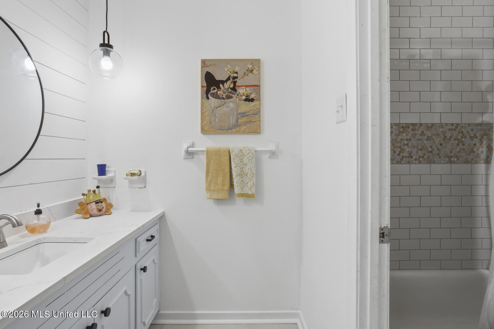 481 Cheyenne Lane Madison, MS 39110 - Photo 29 of 57 481 Cheyenne-42