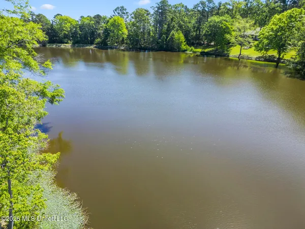 $689,000 | 481 Cheyenne Lane, Madison, MS 39110