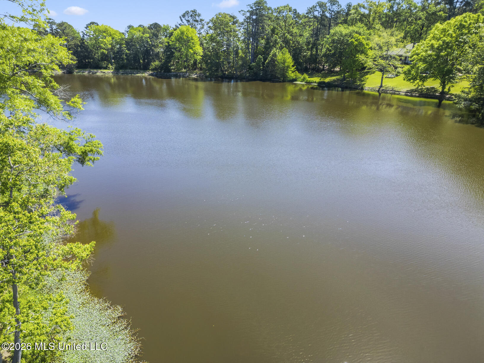 481 Cheyenne Lane Madison, MS 39110 - Photo 56 of 57 481 Cheyenne drone-4