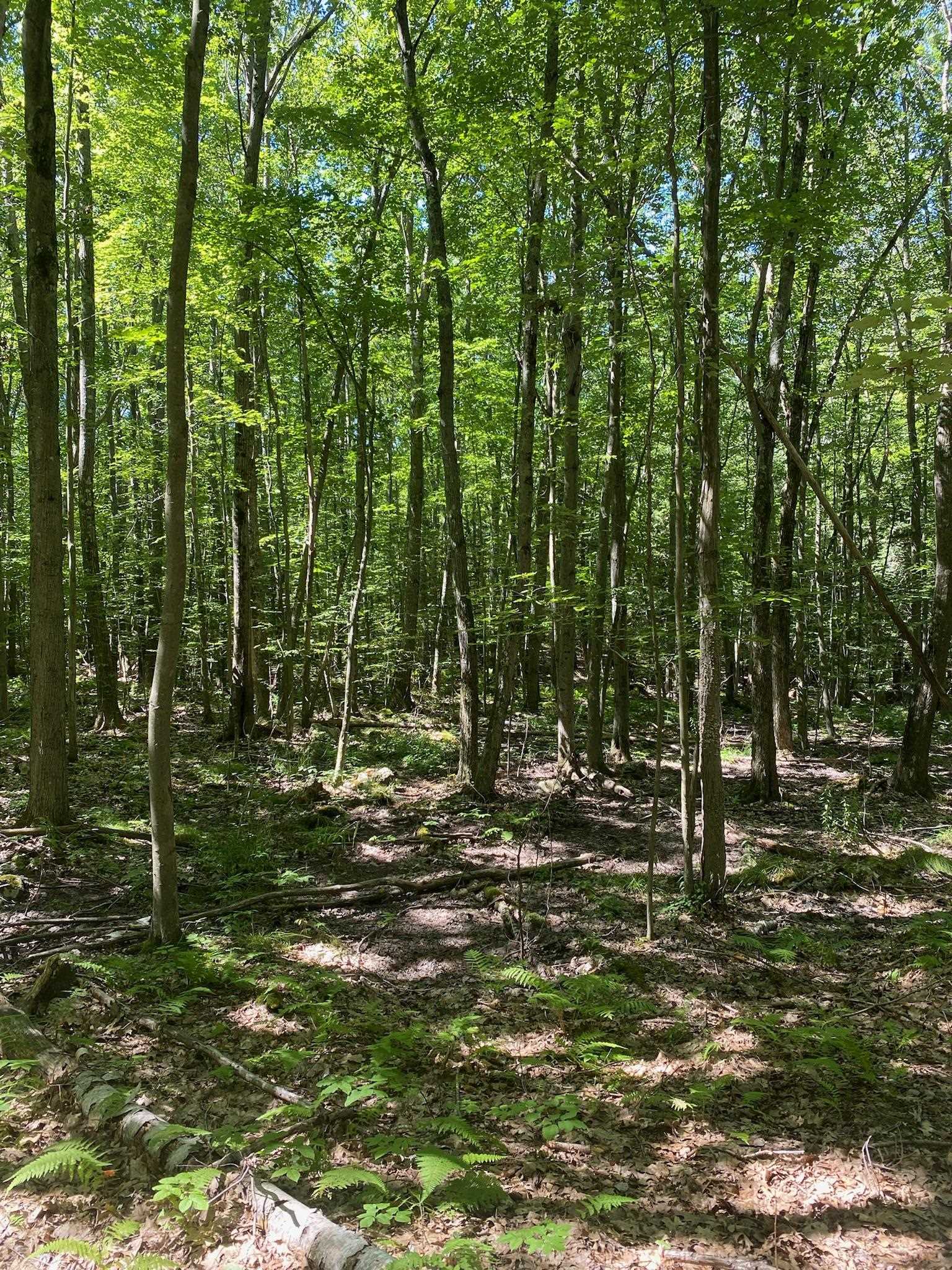 653 6th Road Pembroke, NH 03275 - Photo 2 of 6