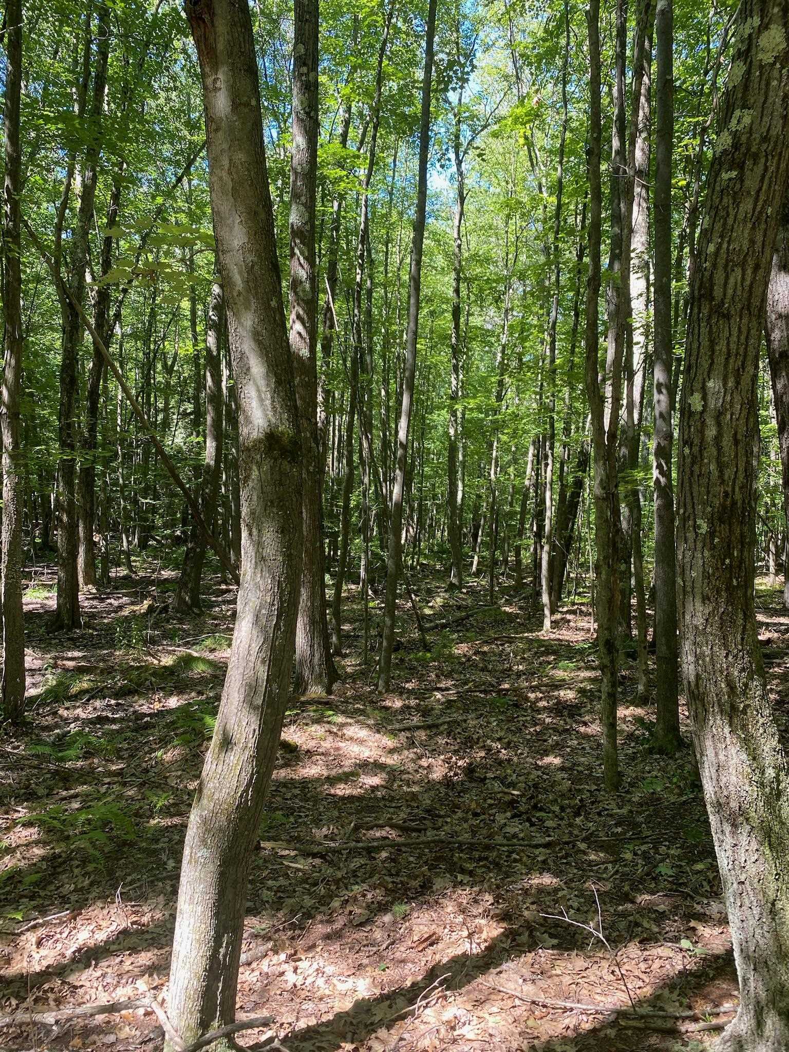 653 6th Road Pembroke, NH 03275 - Photo 3 of 6