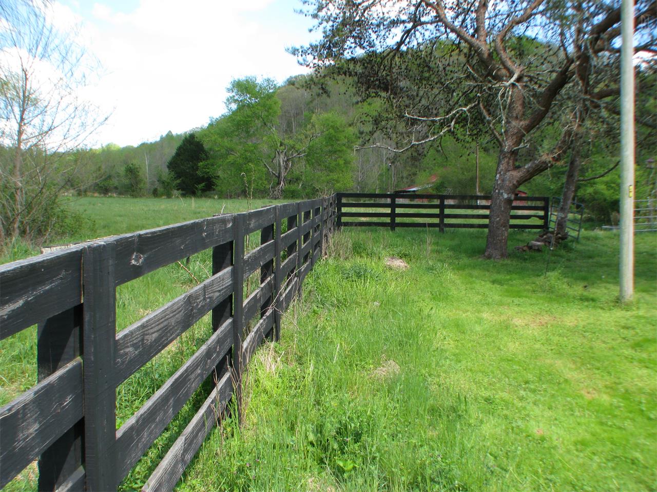 1359 Dog Branch Road Prospect, TN 38477 - Photo 8 of 30