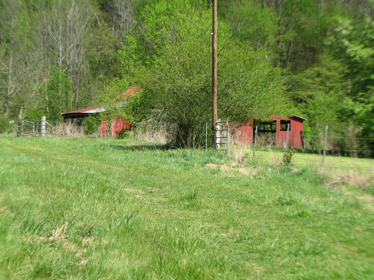 1359 Dog Branch Road Prospect, TN 38477 - Photo 9 of 30