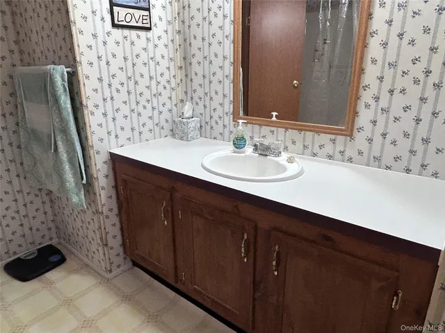 a bathroom with a sink and a shower