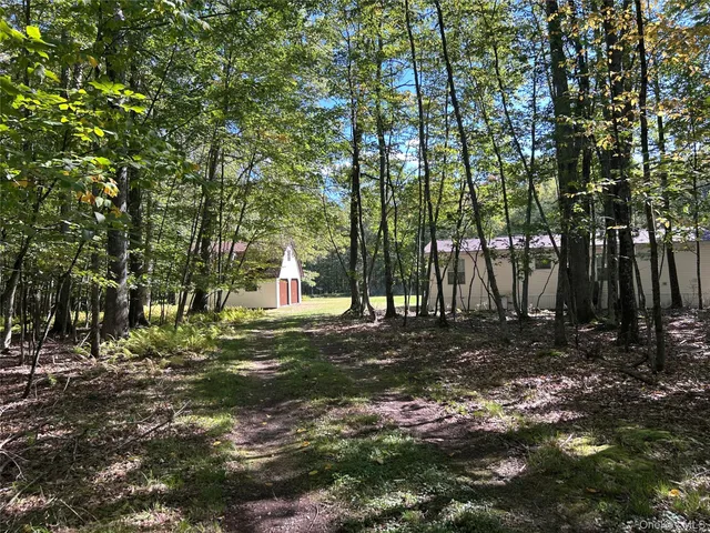 a fire hydrant in the middle of a forest