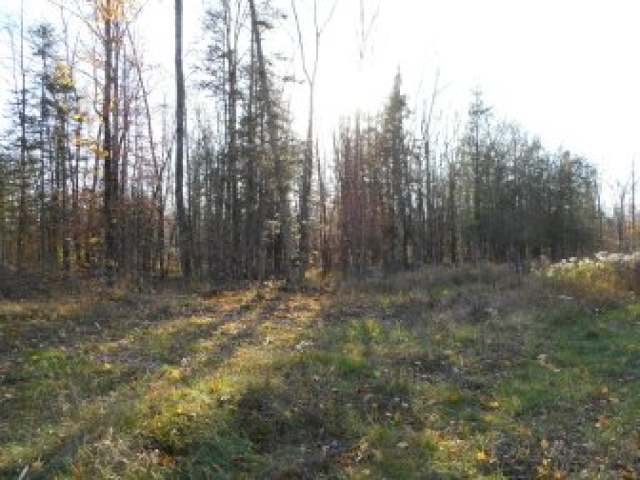 On Straveler Road Brantwood, WI 54513 - Photo 12 of 15 Gallery Image 12