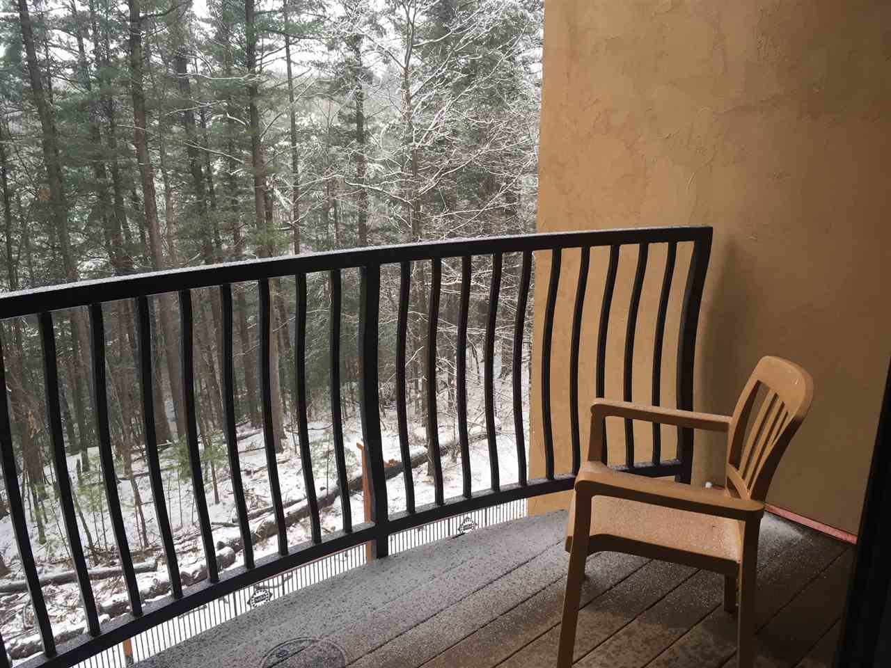 2411 River, Unit 2345 Wisconsin Dells, WI 53965 - Photo 23 of 30