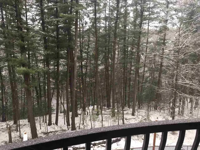 $215,000 | 2411 River Wisconsin Dells Wi 53965, Unit 2345, Wisconsin Dells, WI 53965