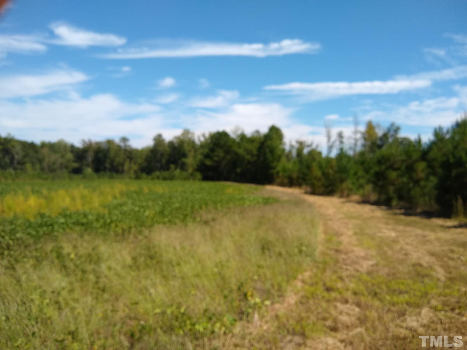 Lot 4 Williams White Road Zebulon, NC 27597 - Photo 3 of 3 a view of a field with an ocean