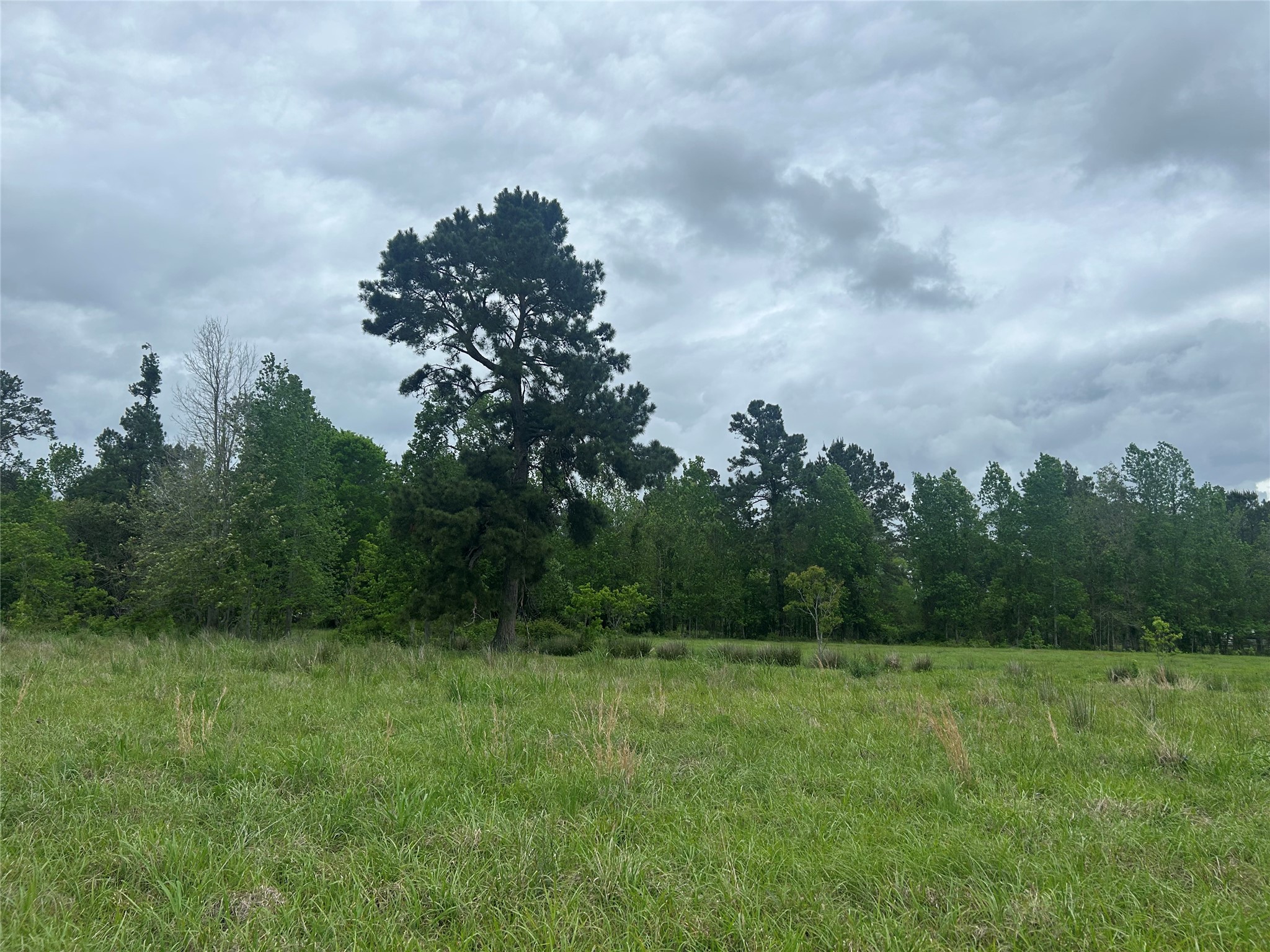 Lot 2 Minnie West Road Hull, TX 77564 - Photo 11 of 13
