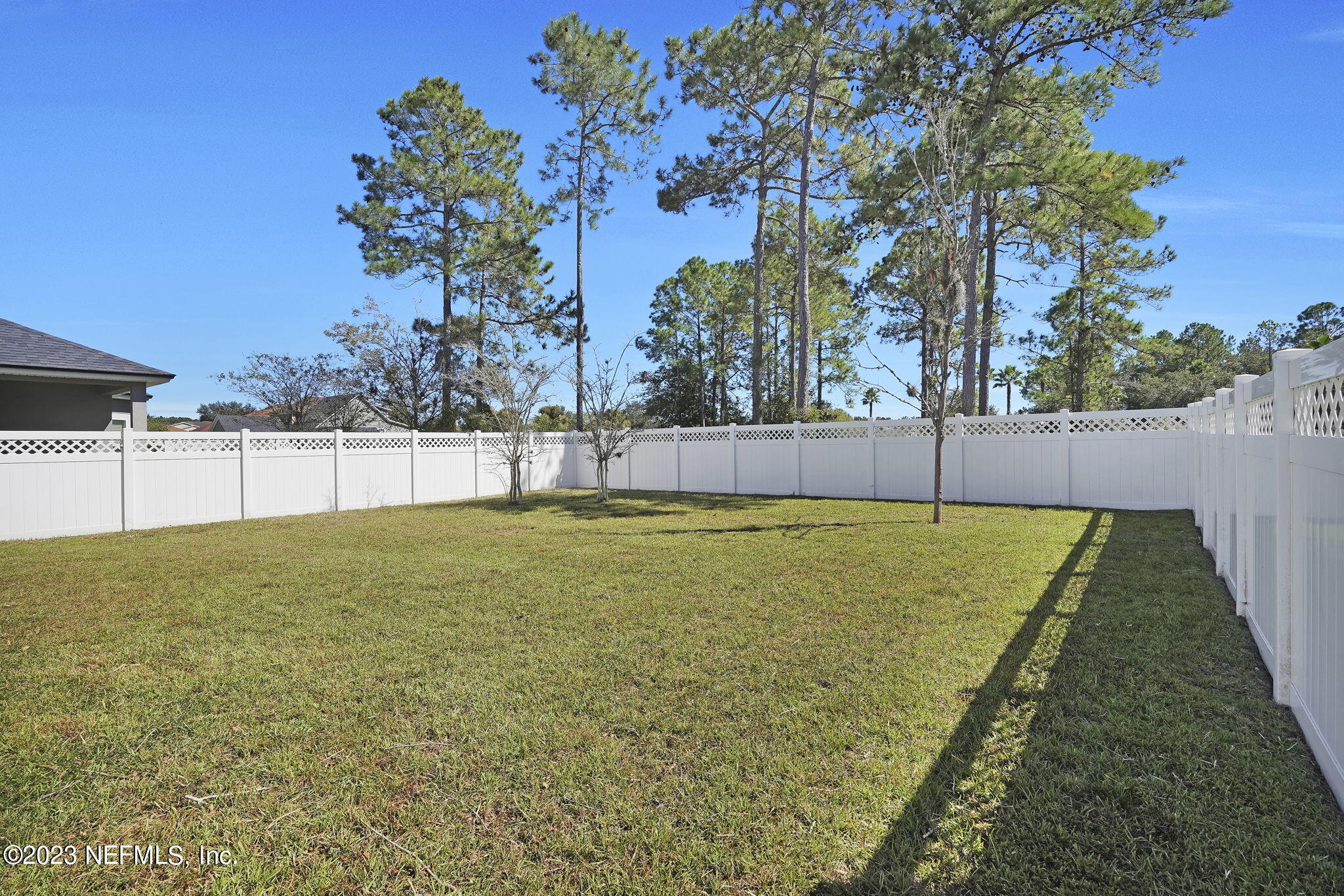 3513 Butternut Way Orange Park, FL 32065 - Photo 35 of 38 a view of yard with swimming pool