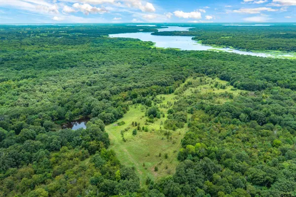 a view of a green field with lots of bushes