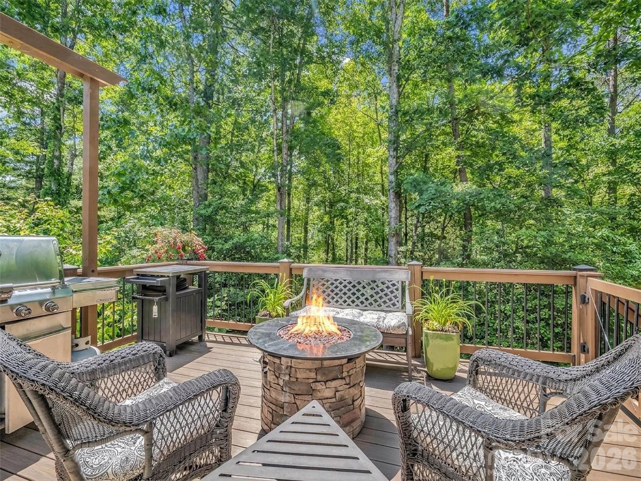 1042 Columbine Road Asheville, NC 28704 - Photo 45 of 48