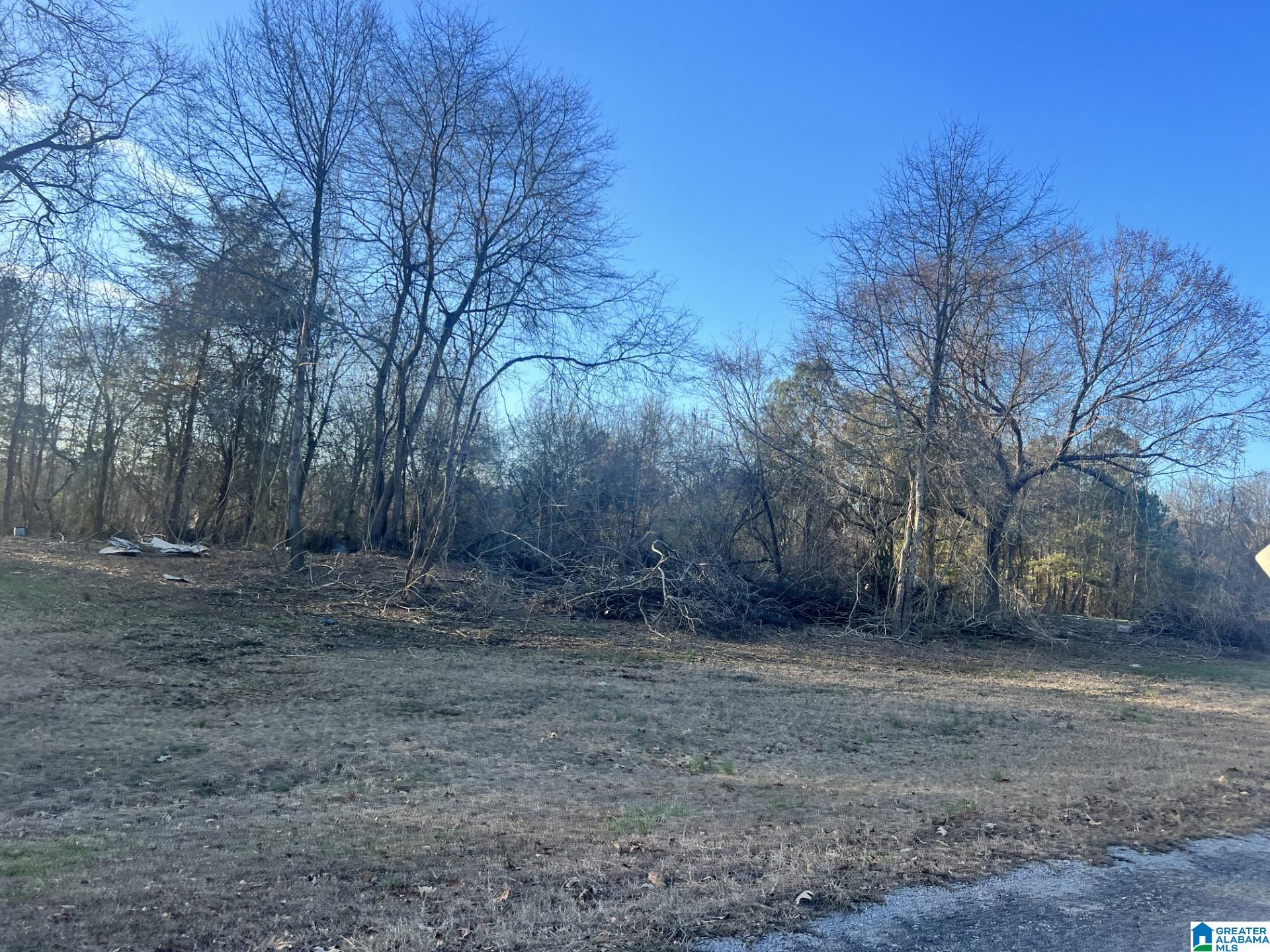 33 Sagebrush Road, Unit 10 Ashville, AL 35953 - Photo 4 of 5