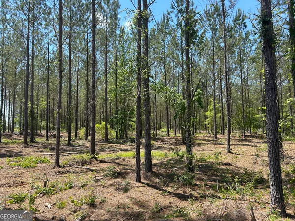 a view of outdoor space with trees