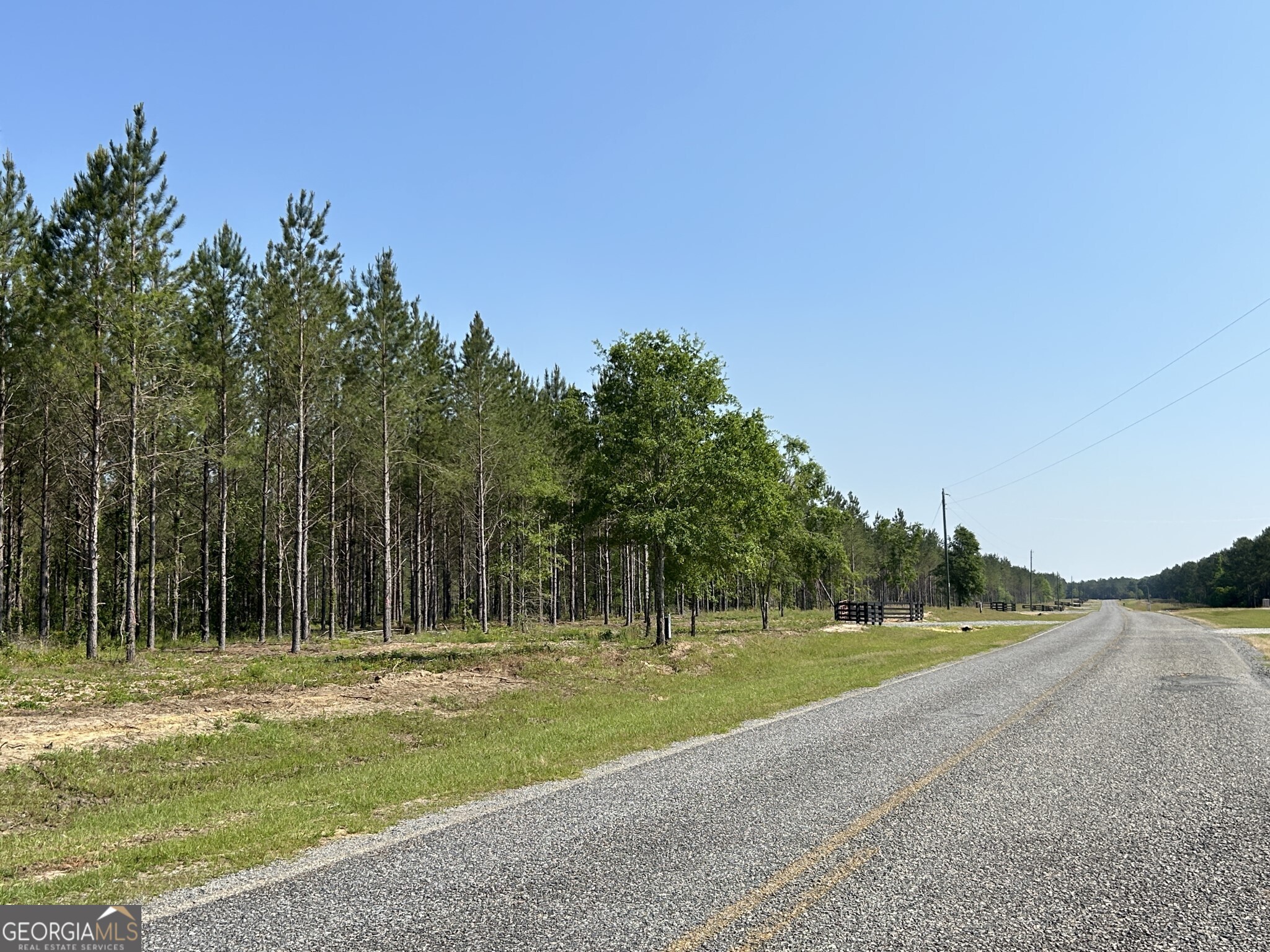 0 Dewey Thomas Road, Unit LOT 2 Dexter, GA 31019 - Photo 2 of 14 a view of a park