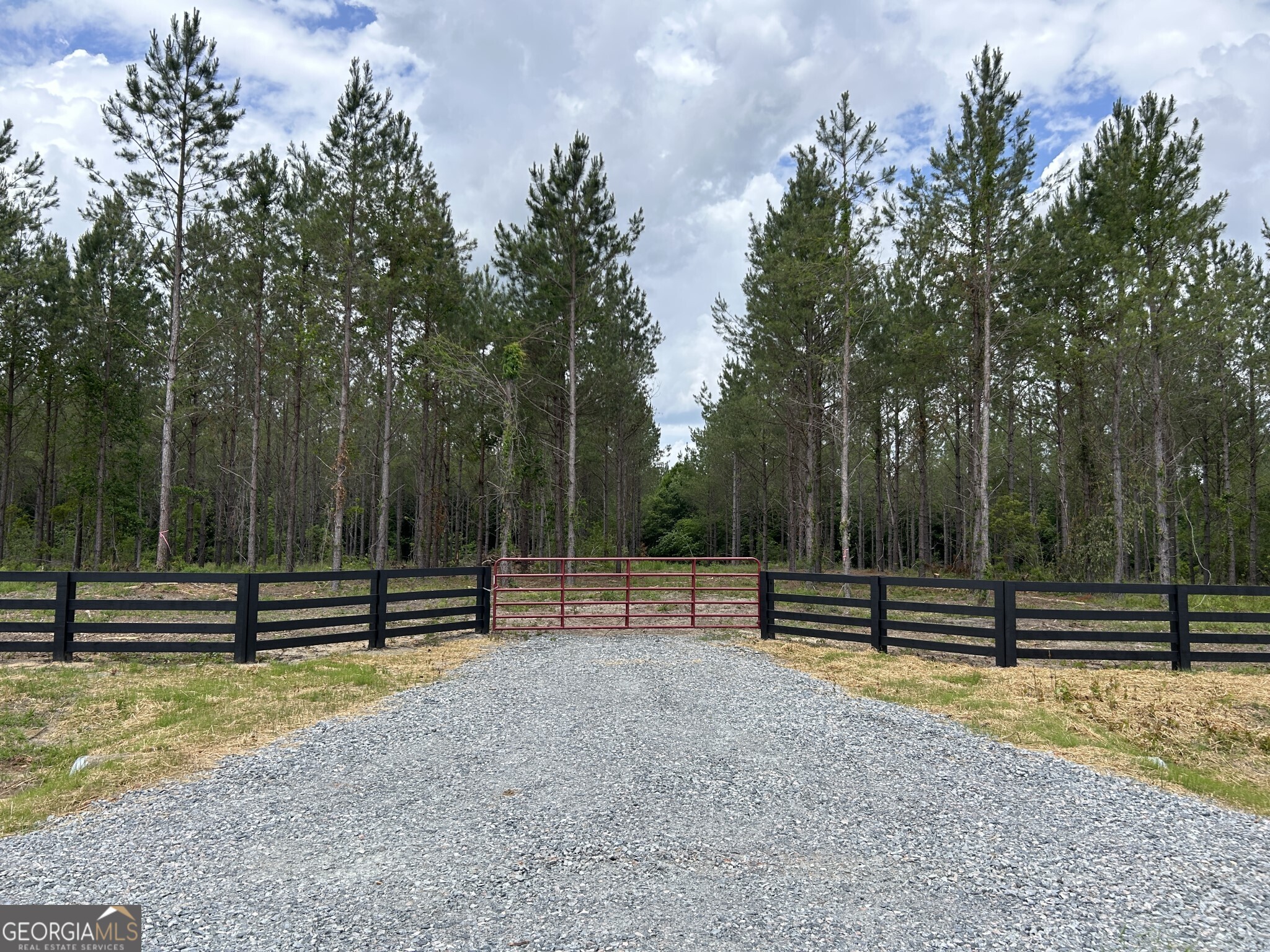 0 Dewey Thomas Road, Unit LOT 2 Dexter, GA 31019 - Photo 4 of 14 a view of outdoor space with deck and trees