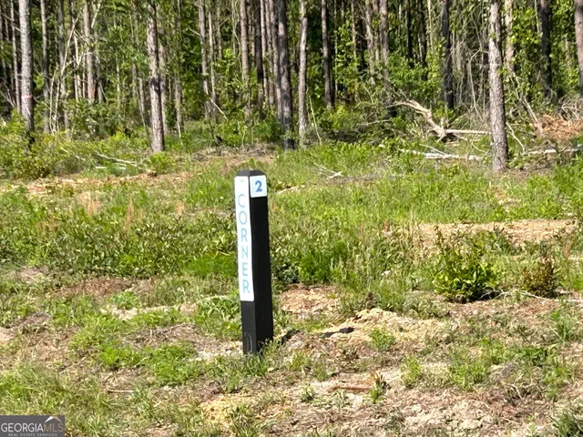 a view of a garden with plants