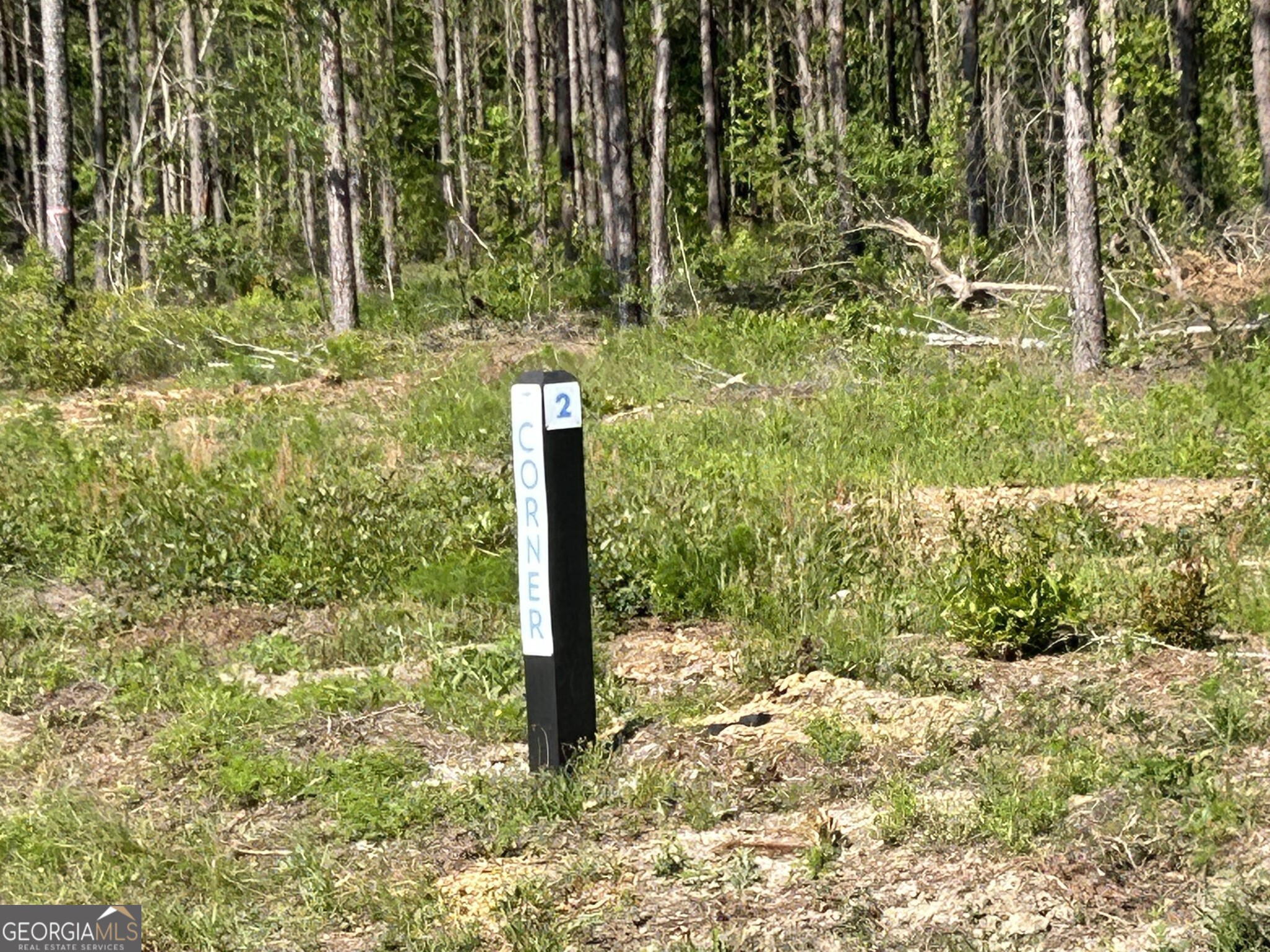 0 Dewey Thomas Road, Unit LOT 2 Dexter, GA 31019 - Photo 5 of 14 a view of a garden with plants
